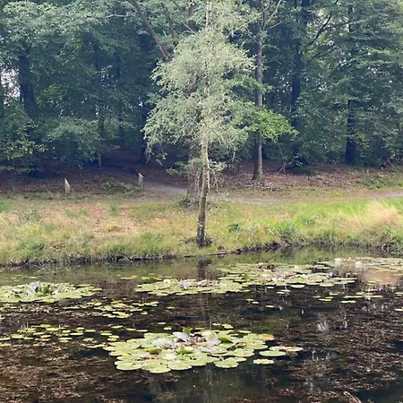 8 Person In Hovborg-by Traum بيت للعطل Hovborg