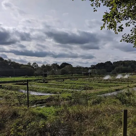 8 Person In Hovborg-by Traum بيت للعطل *