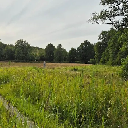 8 Person In Hovborg-by Traum بيت للعطل