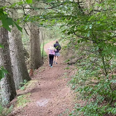 8 Person In Hovborg-by Traum بيت للعطل