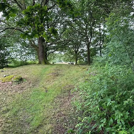 8 Person In Hovborg-by Traum