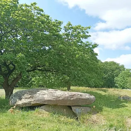 8 Person In Hovborg-by Traum بيت للعطل Hovborg