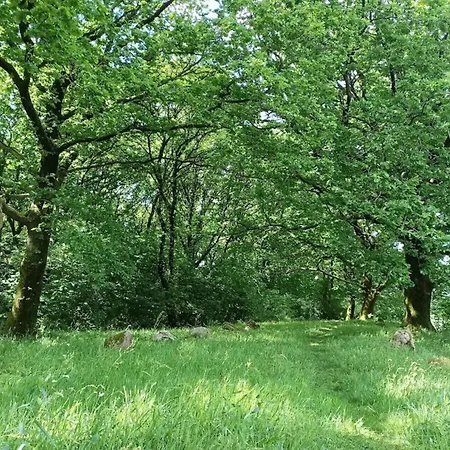 بيت للعطل 8 Person In Hovborg-by Traum Hovborg