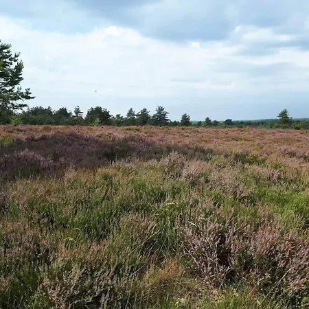 8 Person In Hovborg-by Traum Hovborg