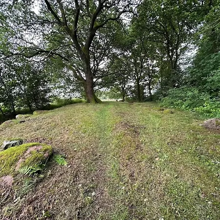 8 Person In Hovborg-by Traum بيت للعطل *